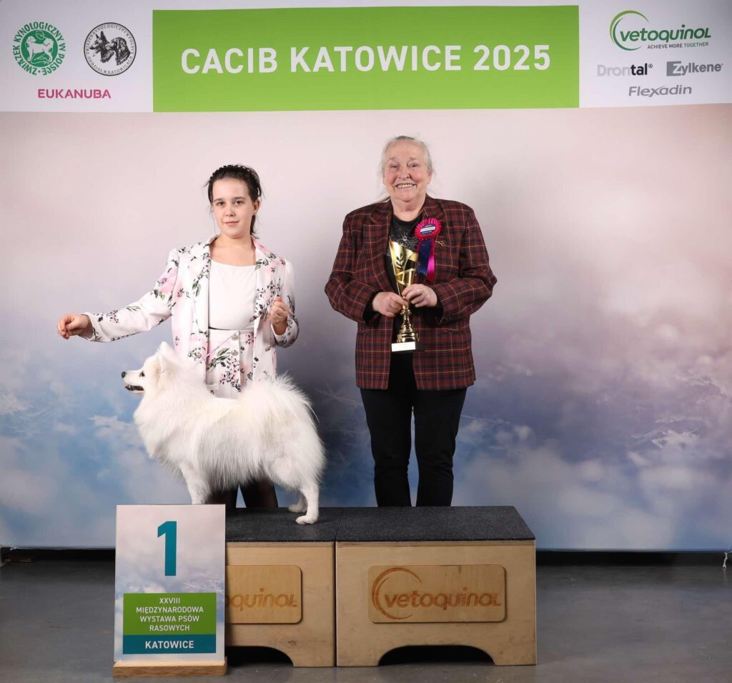 Suka Dorry Balta Lape z hodowli Byakko Kitsune FCI na 1 miejscu podczas wystawy CACIB Katowice 2025