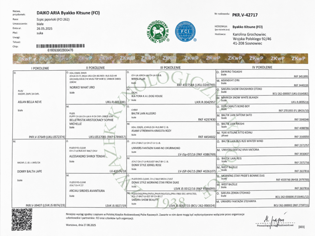 Rodowód PKR Daiko Aria Byakko Kitsune - szpic japoński FCI, PKR.V-42717