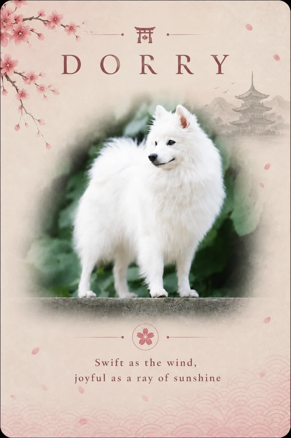 Dorry Balta Lape — japanese spitz, bitch (breeding class) byakko kitsune fci, European Junior Champion