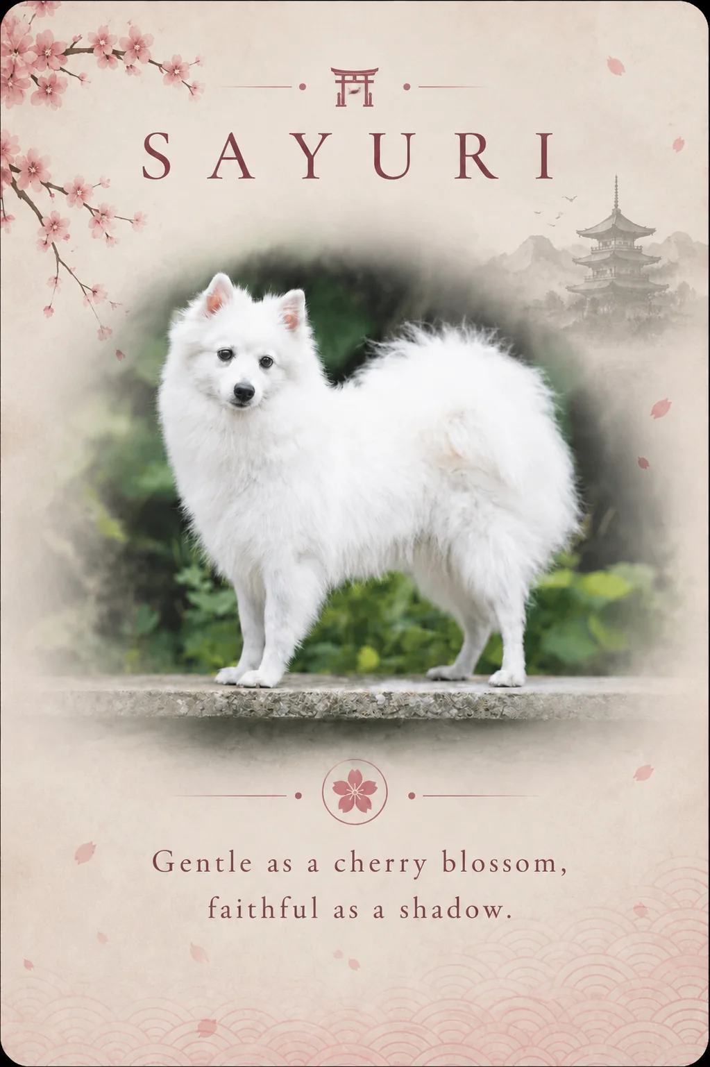 Sayuri Active Team — japanese spitz, bitch (breeding), byakko kitsune fci, dam, litters A, B, C and E